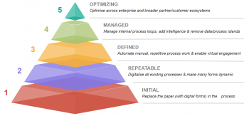 Digital Maturity Assessment